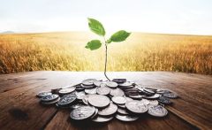 رتبه‌ بندی اعتباری اوراق کلید خورد