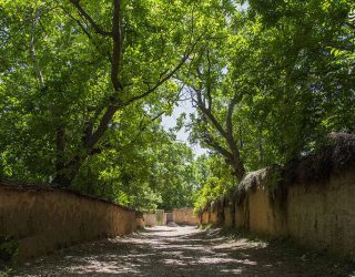 زد و بندها شیراز را سوزاند و کسی را به کسی نیست / روزی شهر گل و بلبل نام داشت و حالا برهوتی بی آب و بی باغ 