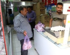 پرواز شوکه کننده مرغ ها در استان فارس 