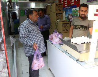 پرواز شوکه کننده مرغ ها در استان فارس 