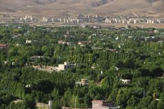 دلم می سوزد از باغی که می سوزد