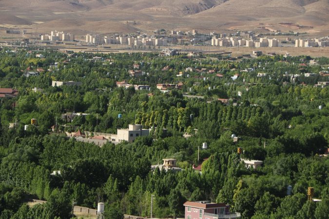 دلم می سوزد از باغی که می سوزد